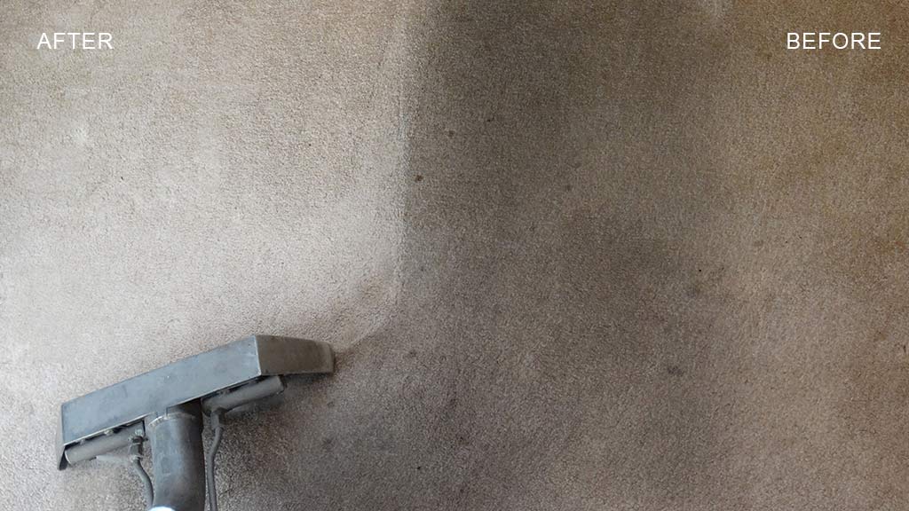 Carpet Cleaning Bakersfield