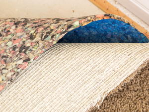 Carpet-Pad-Article