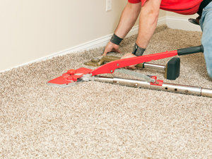 Carpet Cleaning